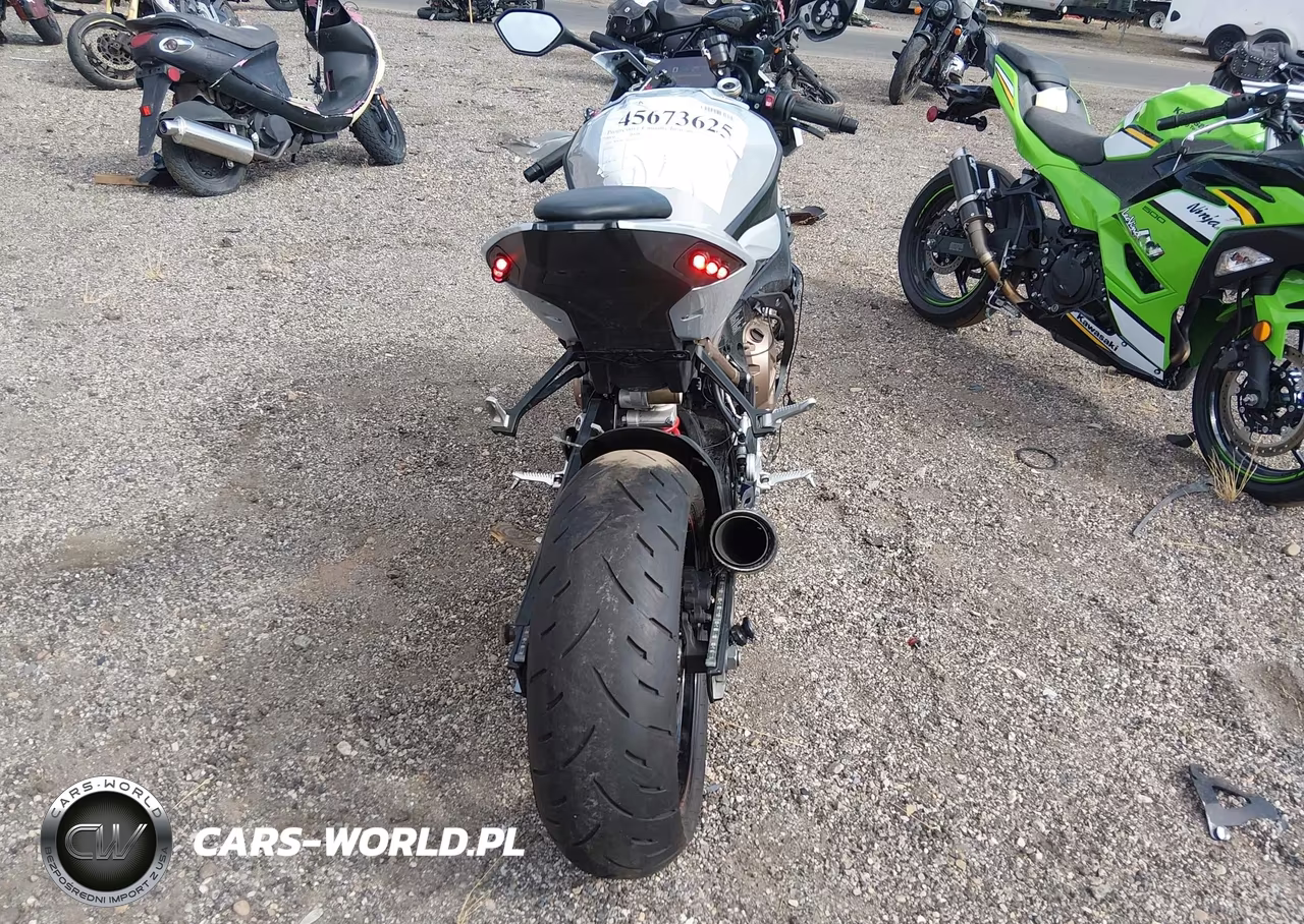 2020 BMW S 1000 Rr VIN:WB10E2303L6D29950 - 6
