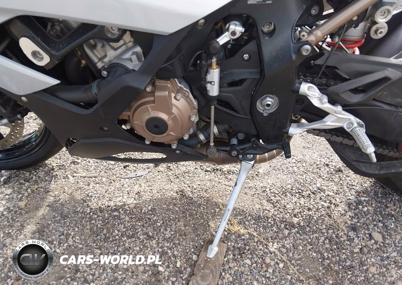 2020 BMW S 1000 Rr VIN:WB10E2303L6D29950 - 9