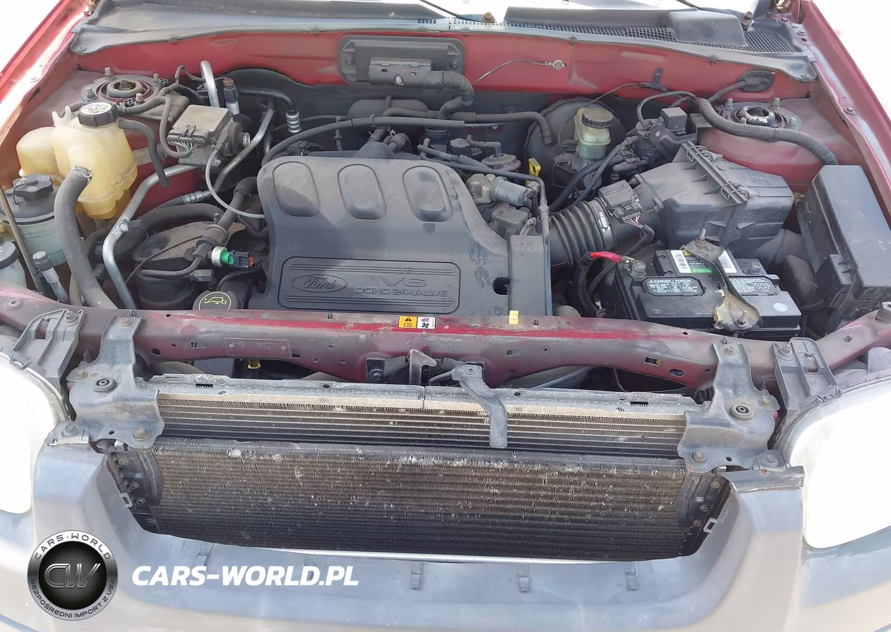 2004 Ford Escape Xlt VIN:1FMYU03174KA42649 - 10
