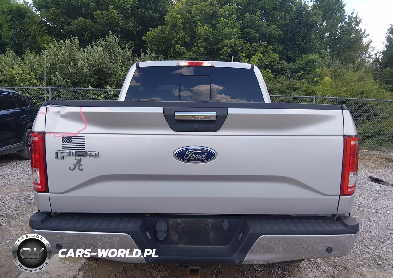 2015 Ford F-150 King Ranch-Lariat-Platinum-Xl-Xlt VIN:1FTEW1EG1FKE50611 - 15