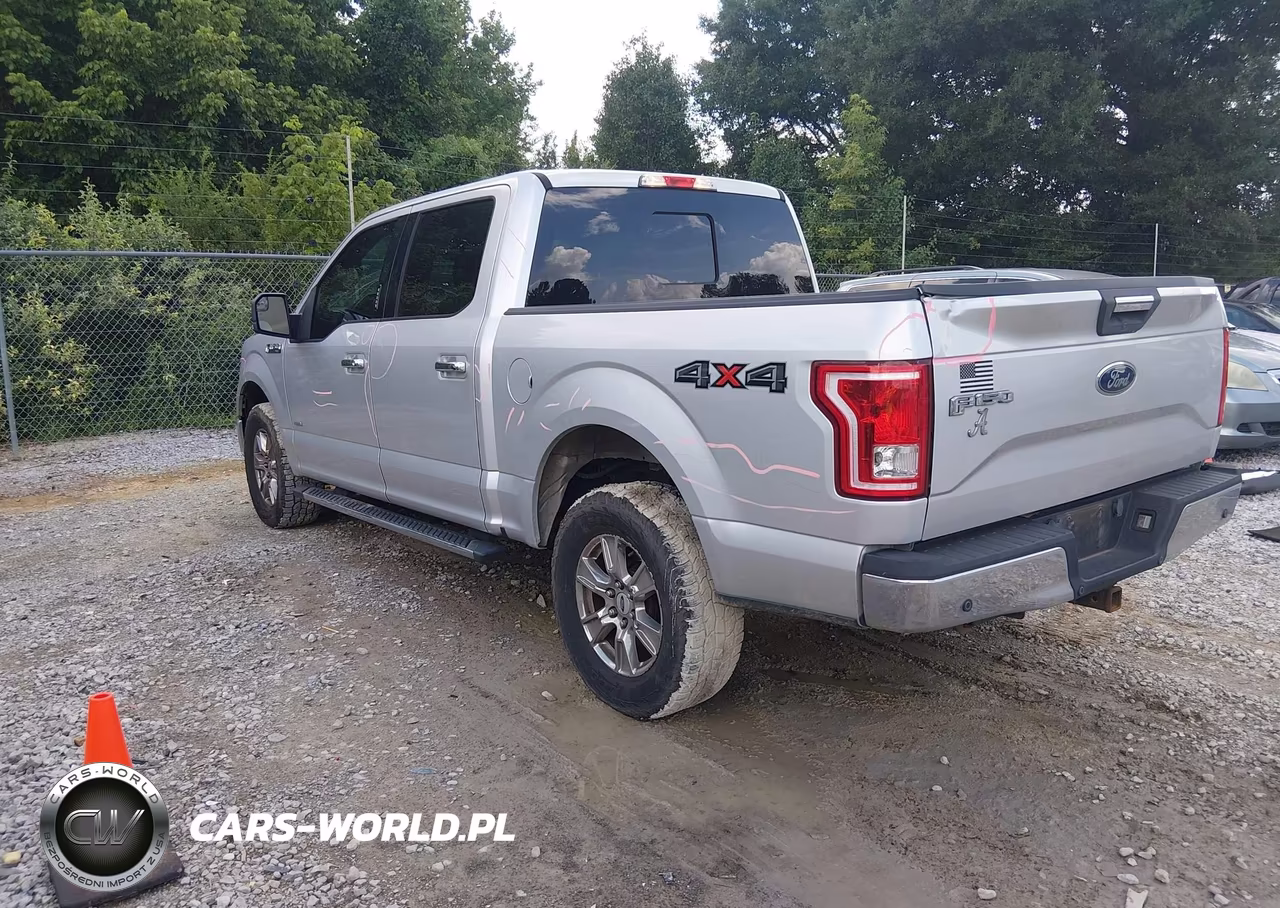 2015 Ford F-150 King Ranch-Lariat-Platinum-Xl-Xlt VIN:1FTEW1EG1FKE50611 - 3