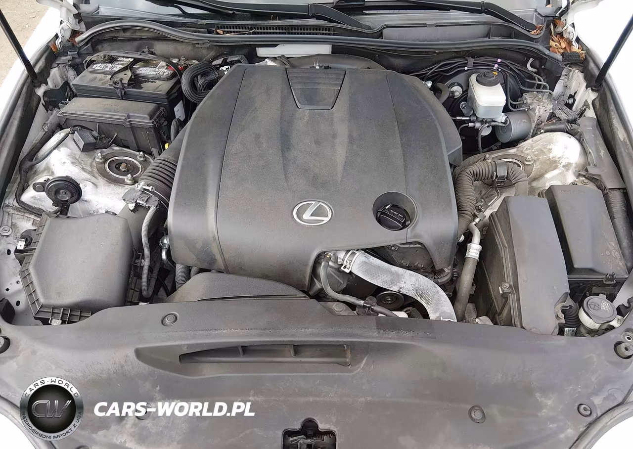 2015 Lexus Is 250 VIN:JTHBF1D26F5045060 - 10