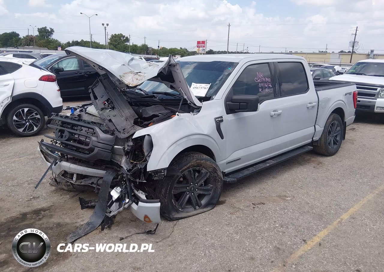 2023 Ford F-150 Xlt VIN:1FTFW1ED3PFC85584 - 2