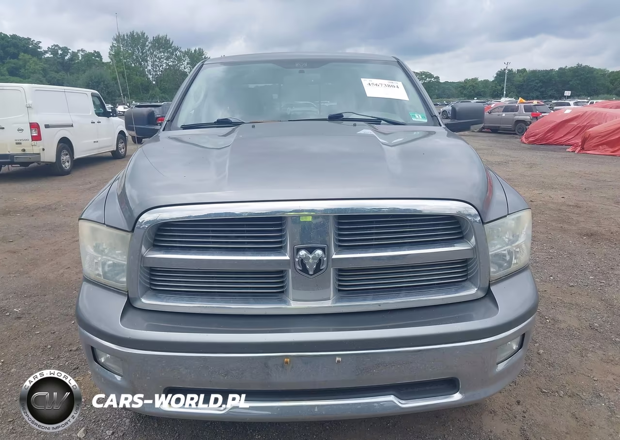 2010 Dodge Ram 1500 Slt-Sport-Trx VIN:1D7RV1GT4AS192193 - 12