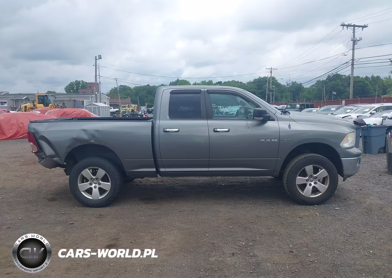 2010 Dodge Ram 1500 Slt-Sport-Trx VIN:1D7RV1GT4AS192193 - 13