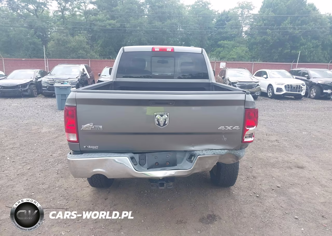2010 Dodge Ram 1500 Slt-Sport-Trx VIN:1D7RV1GT4AS192193 - 16