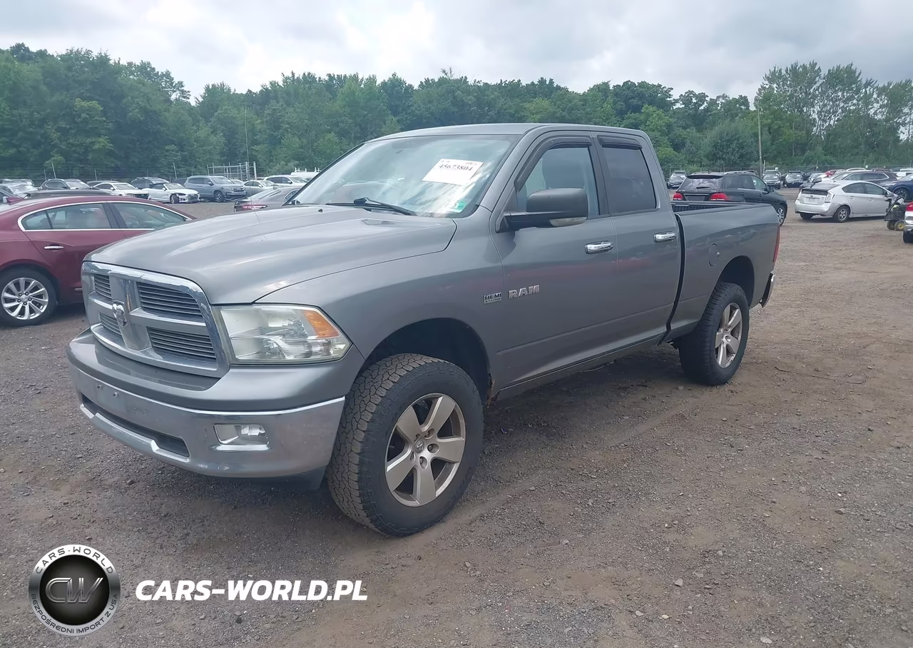 2010 Dodge Ram 1500 Slt-Sport-Trx VIN:1D7RV1GT4AS192193 - 2