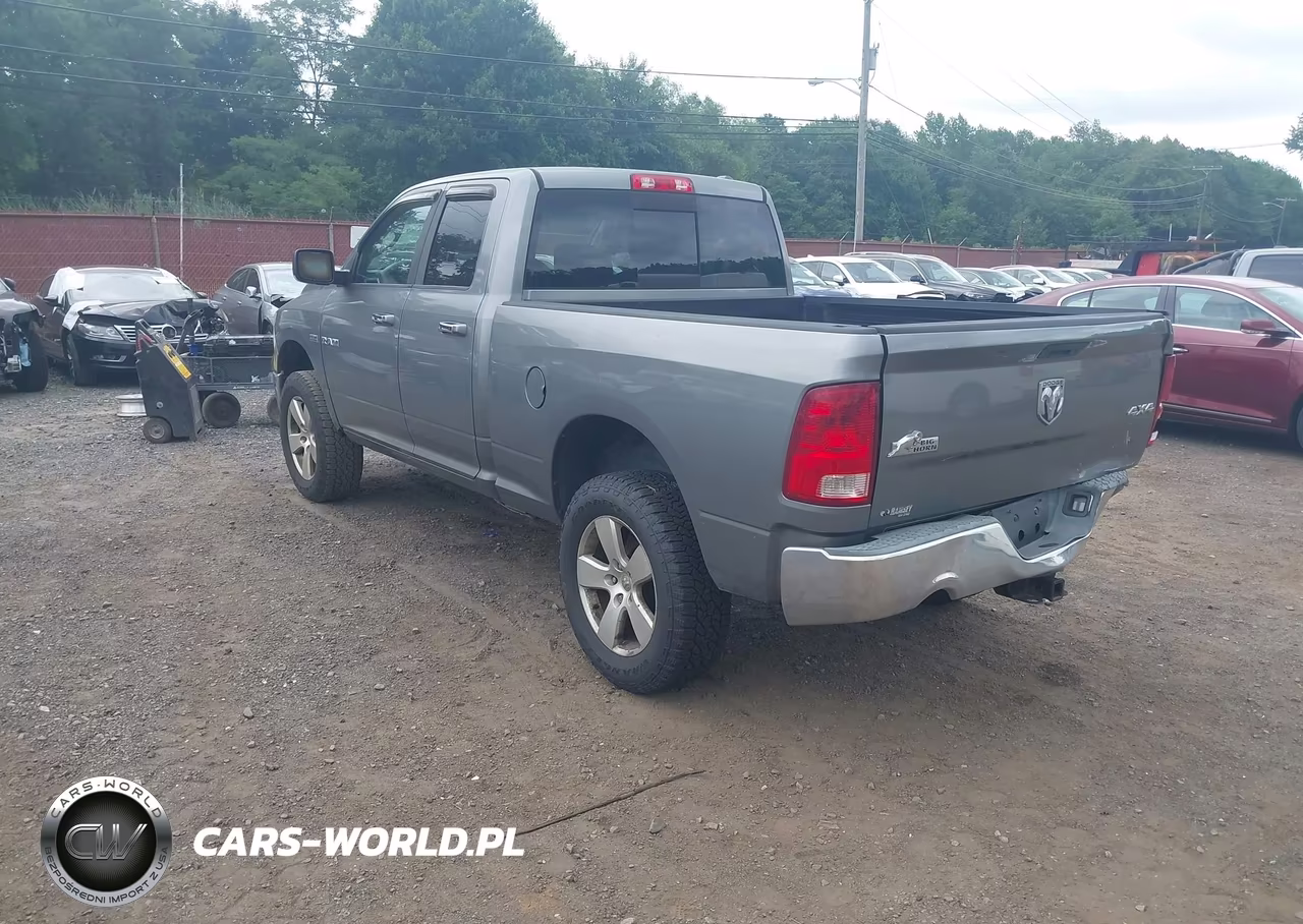 2010 Dodge Ram 1500 Slt-Sport-Trx VIN:1D7RV1GT4AS192193 - 3