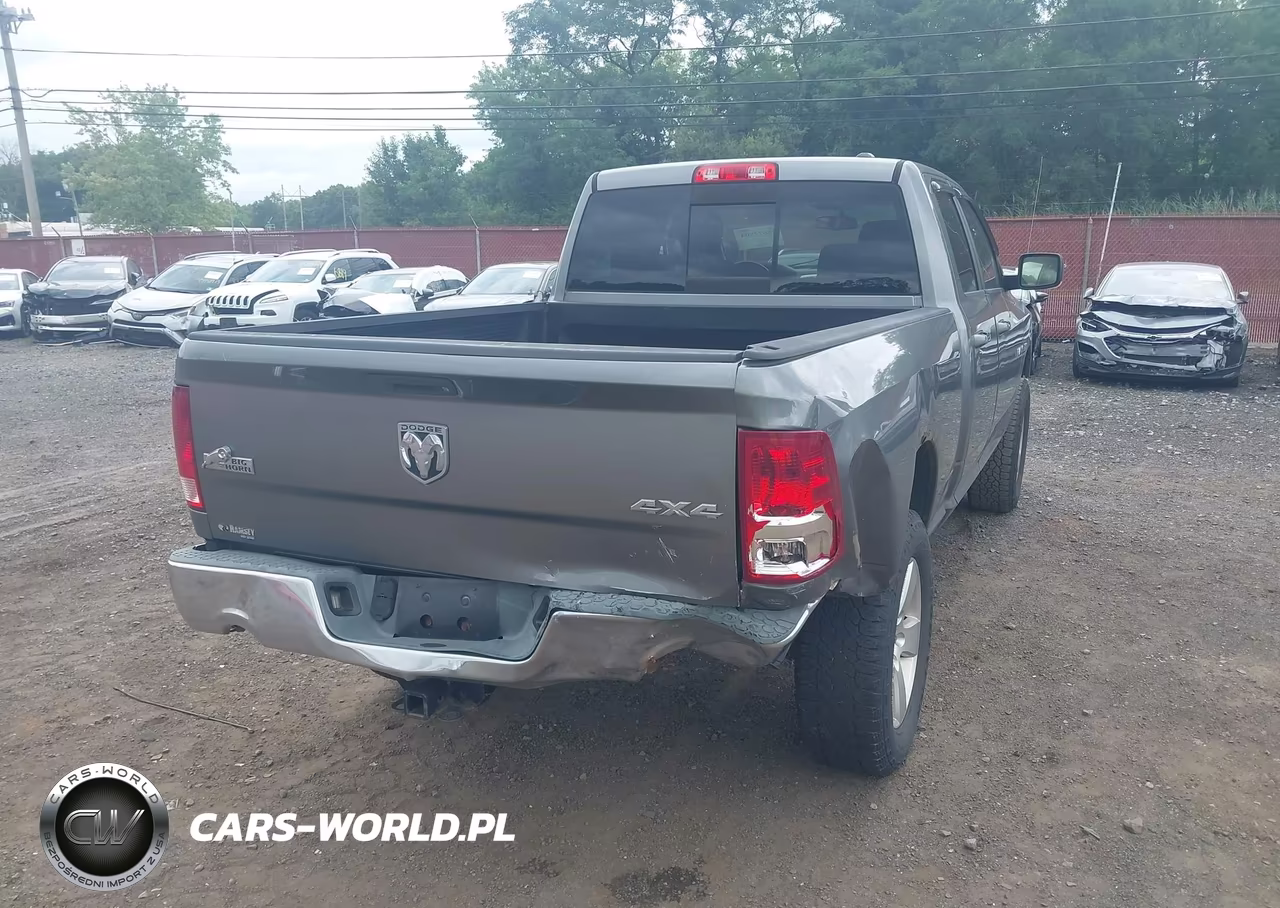 2010 Dodge Ram 1500 Slt-Sport-Trx VIN:1D7RV1GT4AS192193 - 6