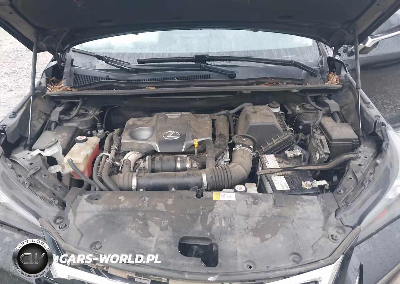 2017 Lexus Nx 200T VIN:JTJBARBZ2H2144703 - 10