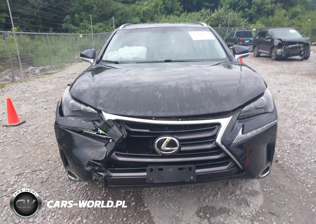 2017 Lexus Nx 200T VIN:JTJBARBZ2H2144703 - 12