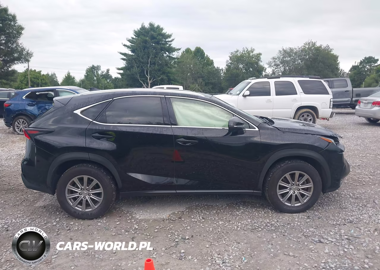 2017 Lexus Nx 200T VIN:JTJBARBZ2H2144703 - 13