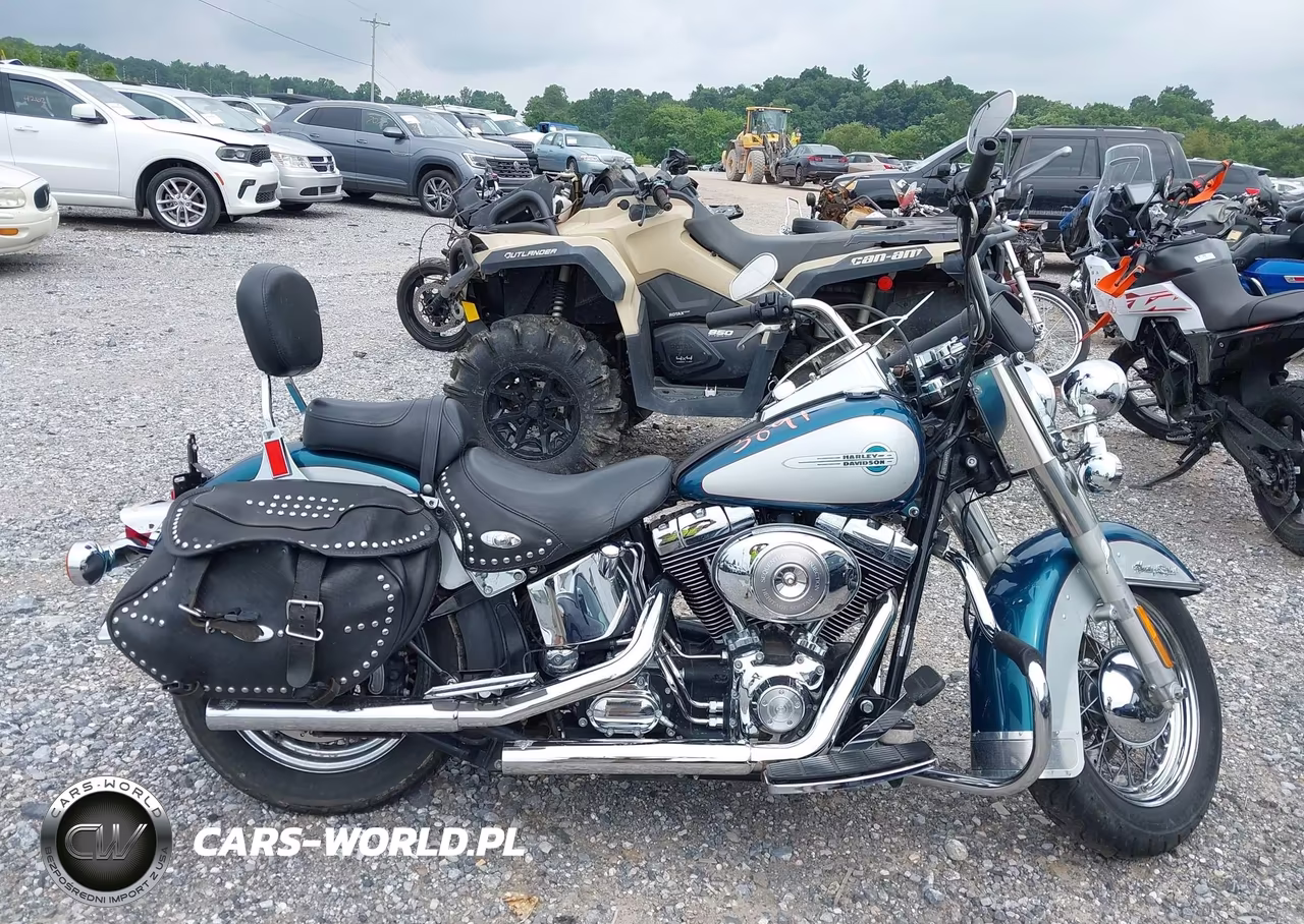2004 Harley-Davidson Flstci VIN:1HD1BWB114Y042447 - 12