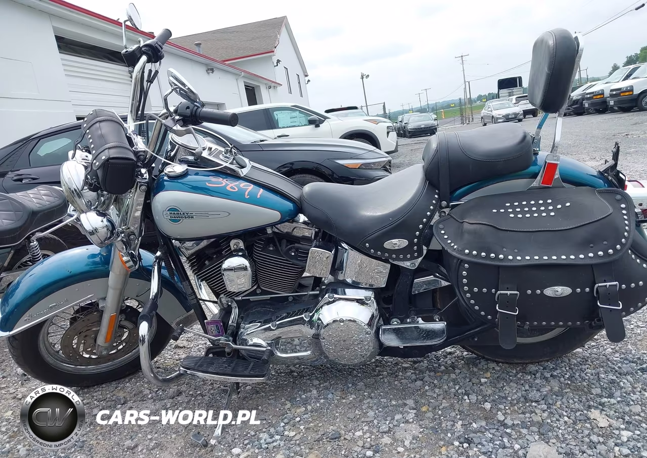 2004 Harley-Davidson Flstci VIN:1HD1BWB114Y042447 - 13