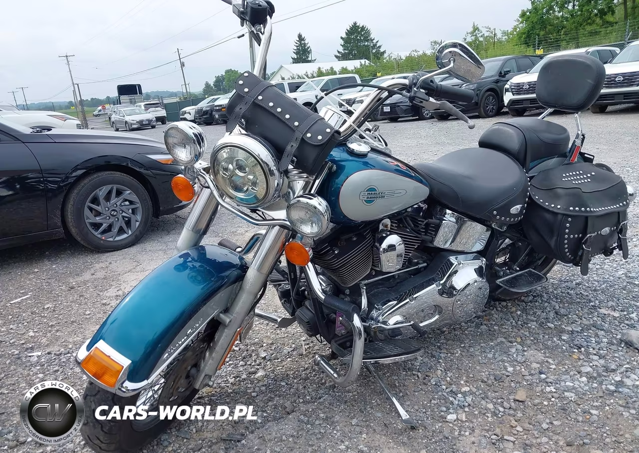 2004 Harley-Davidson Flstci VIN:1HD1BWB114Y042447 - 2