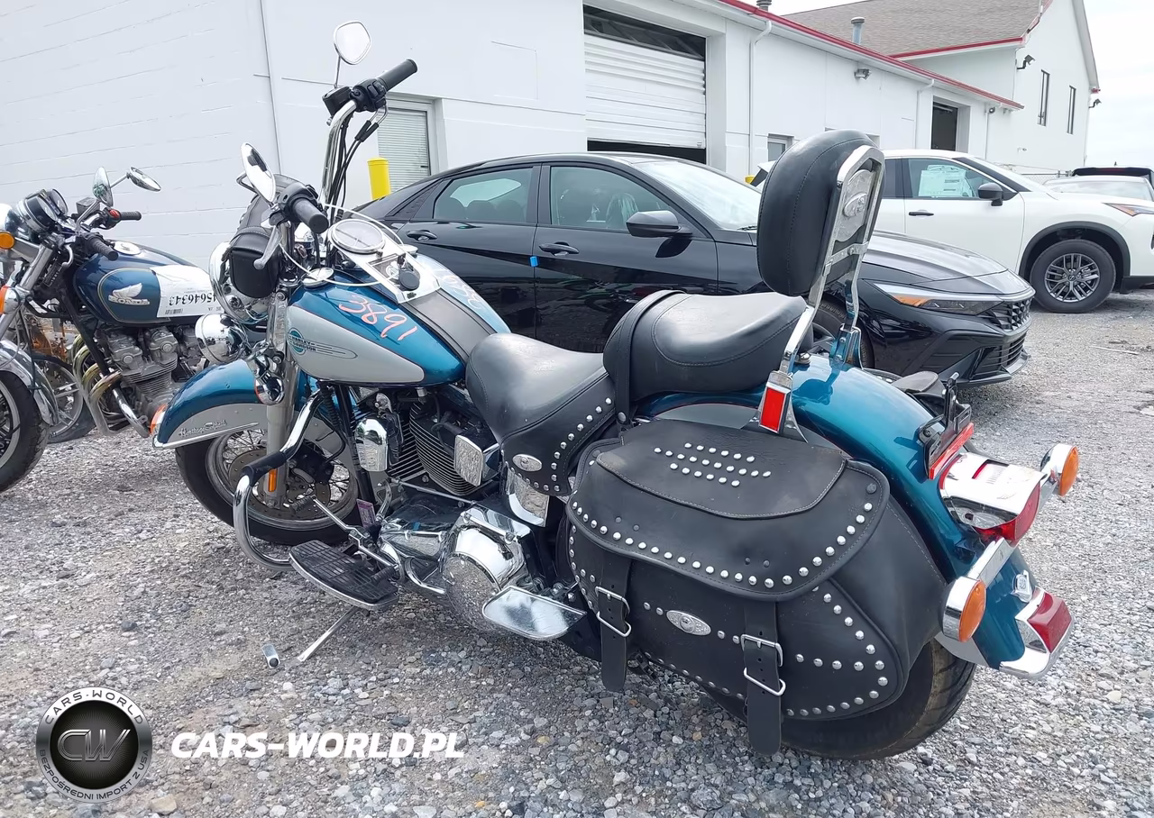 2004 Harley-Davidson Flstci VIN:1HD1BWB114Y042447 - 3