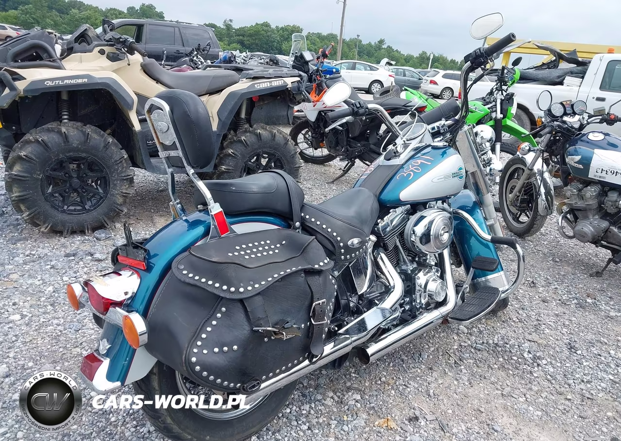 2004 Harley-Davidson Flstci VIN:1HD1BWB114Y042447 - 4