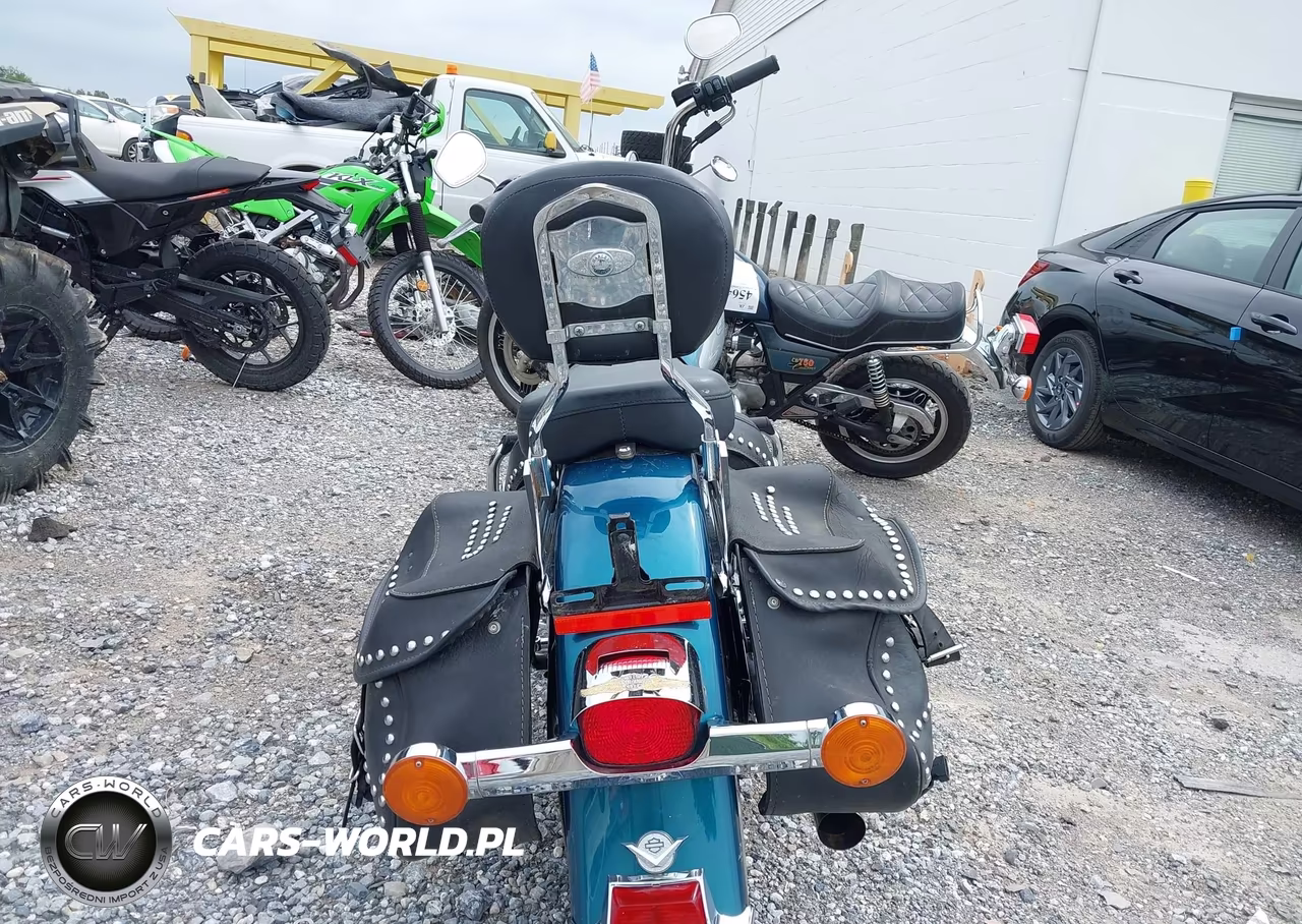 2004 Harley-Davidson Flstci VIN:1HD1BWB114Y042447 - 6