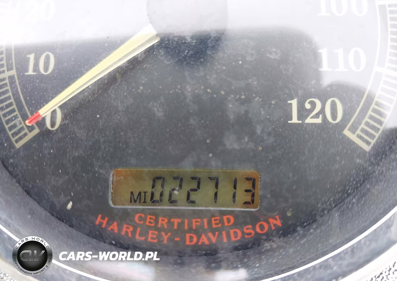 2004 Harley-Davidson Flstci VIN:1HD1BWB114Y042447 - 7
