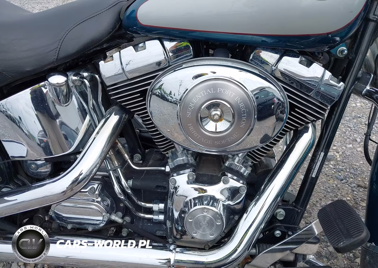 2004 Harley-Davidson Flstci VIN:1HD1BWB114Y042447 - 8