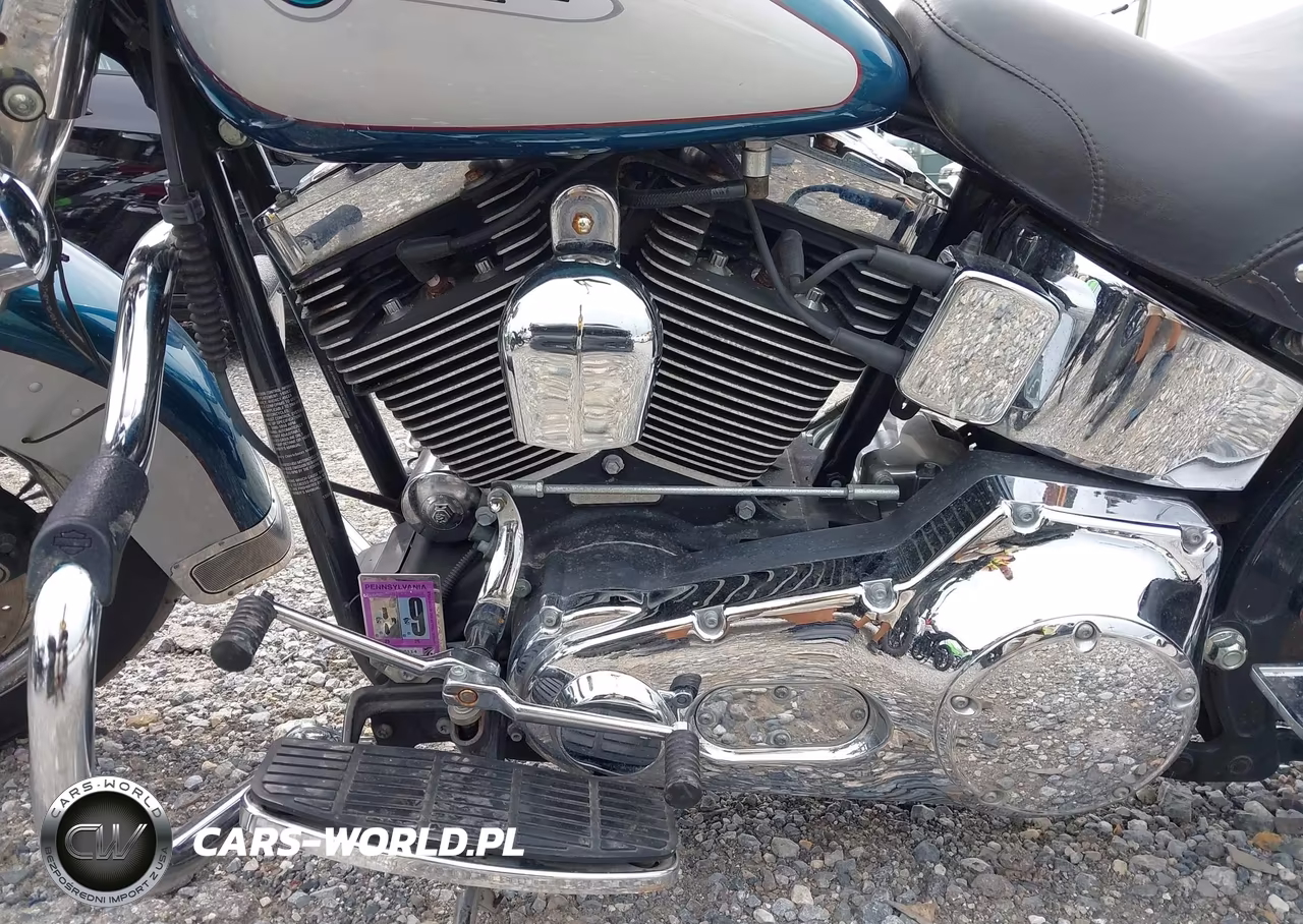 2004 Harley-Davidson Flstci VIN:1HD1BWB114Y042447 - 9
