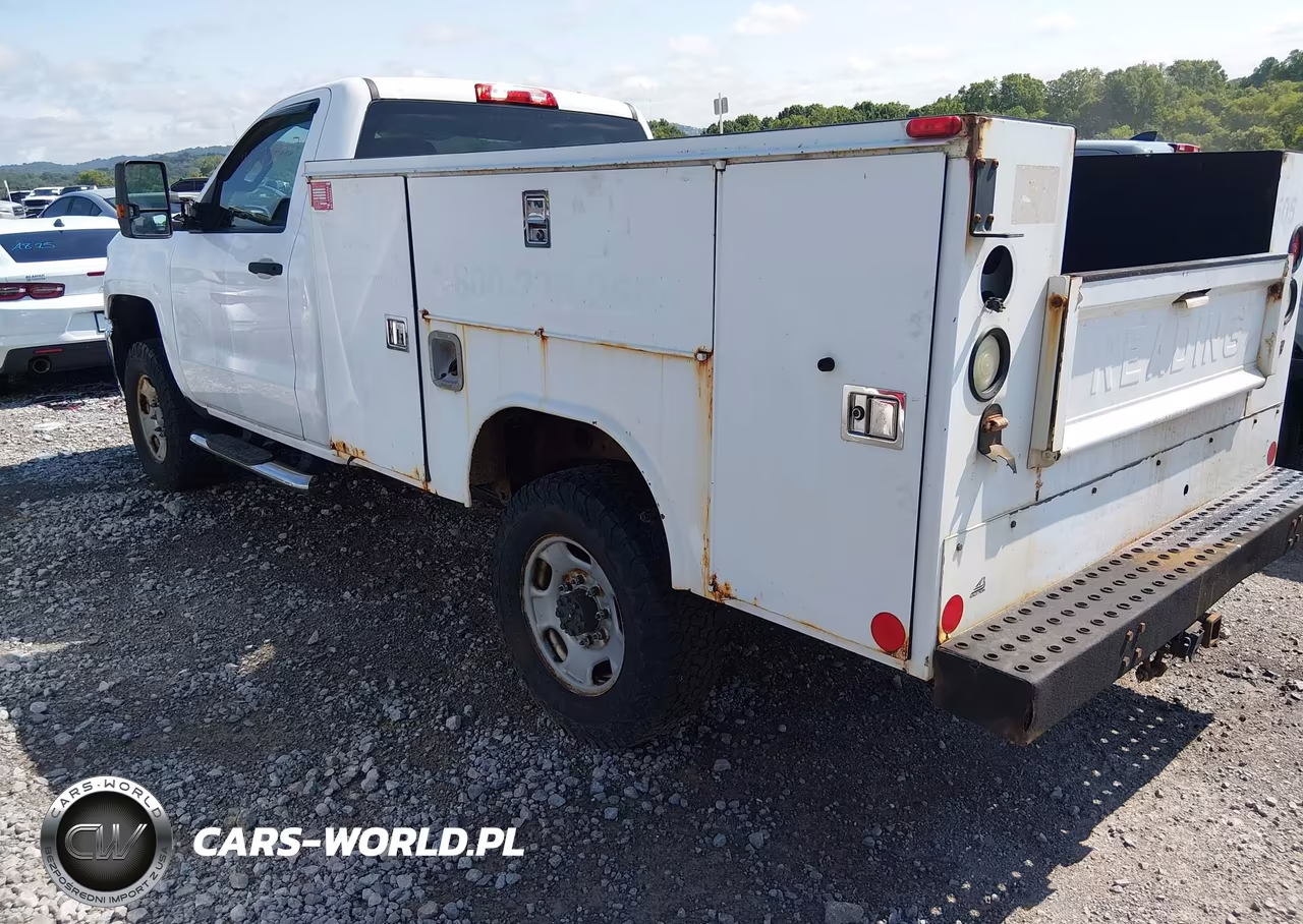 2015 Chevrolet Silverado 2500Hd Wt VIN:1GB0KUEG2FZ524038 - 3