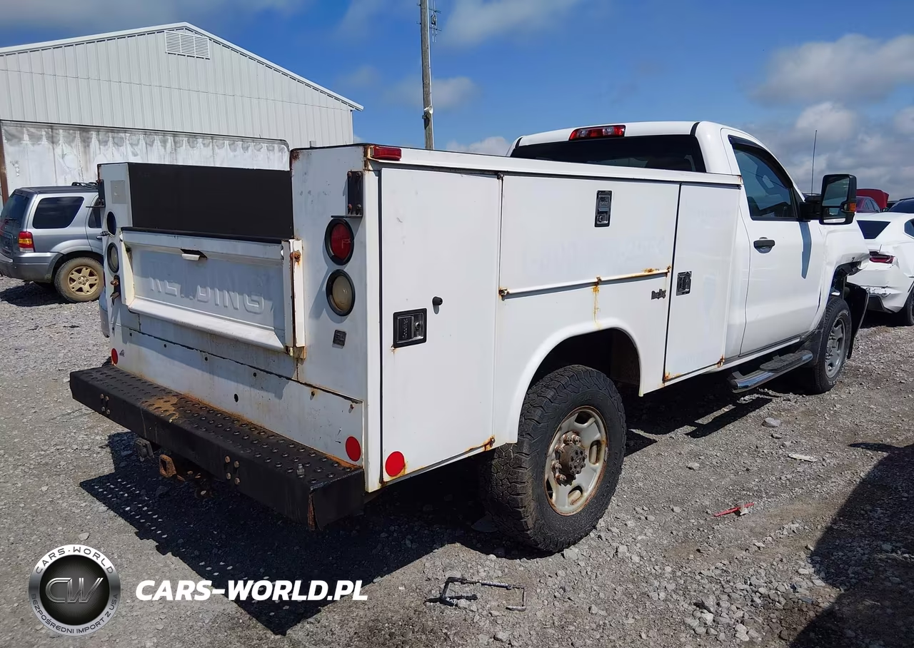 2015 Chevrolet Silverado 2500Hd Wt VIN:1GB0KUEG2FZ524038 - 4