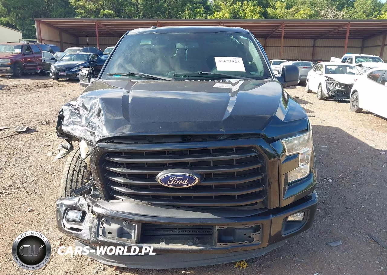 2016 Ford F-150 Xlt VIN:1FTEW1CP9GFB91976 - 12