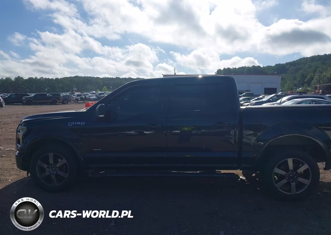 2016 Ford F-150 Xlt VIN:1FTEW1CP9GFB91976 - 14