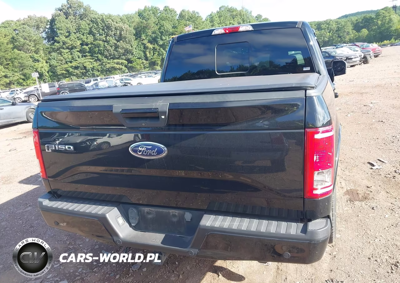 2016 Ford F-150 Xlt VIN:1FTEW1CP9GFB91976 - 16
