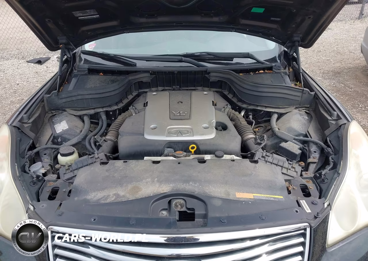 2009 Infiniti Ex35 Journey VIN:JNKAJ09F09M951280 - 10