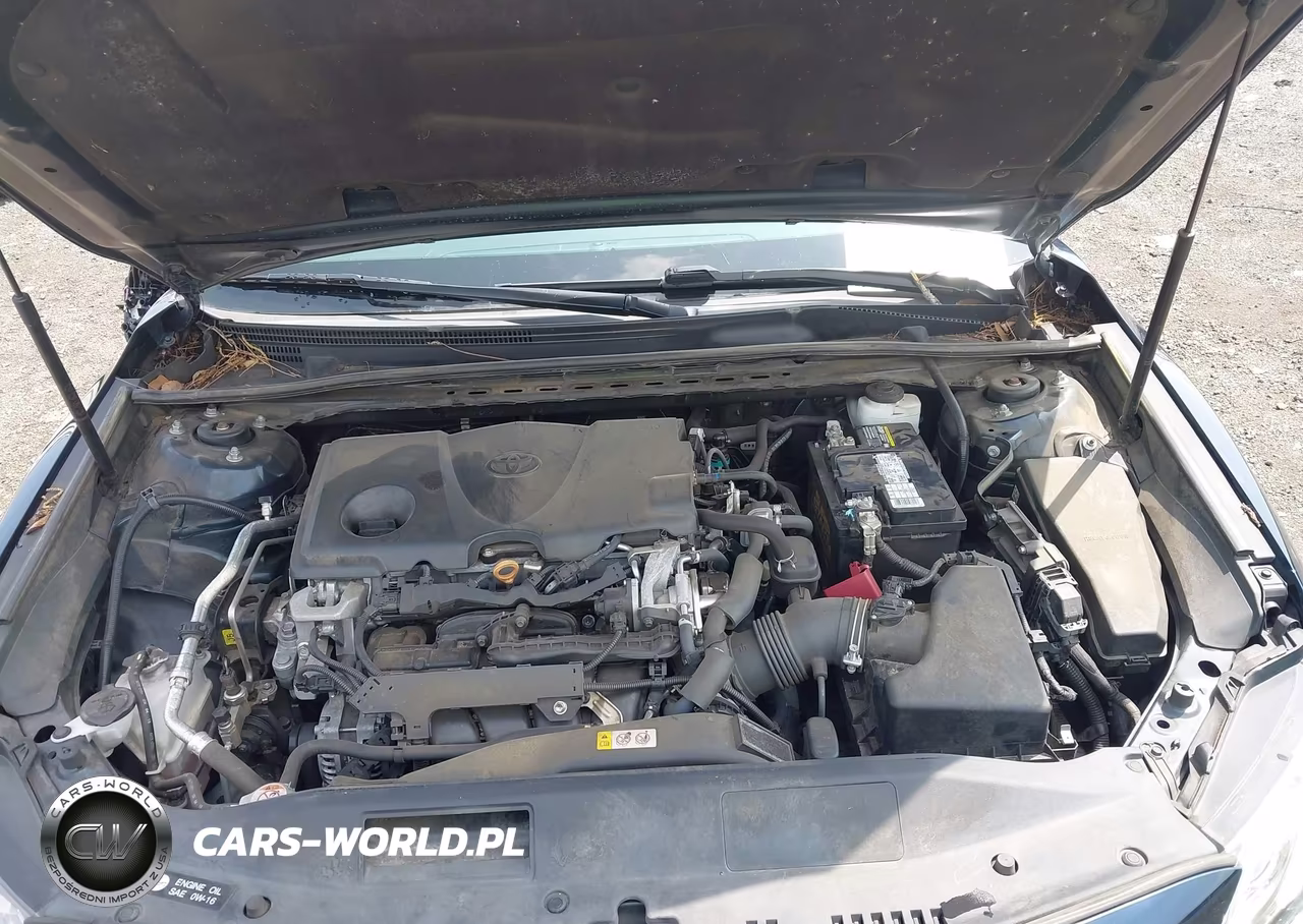 2019 Toyota Camry Xse VIN:4T1B61HK9KU738082 - 10
