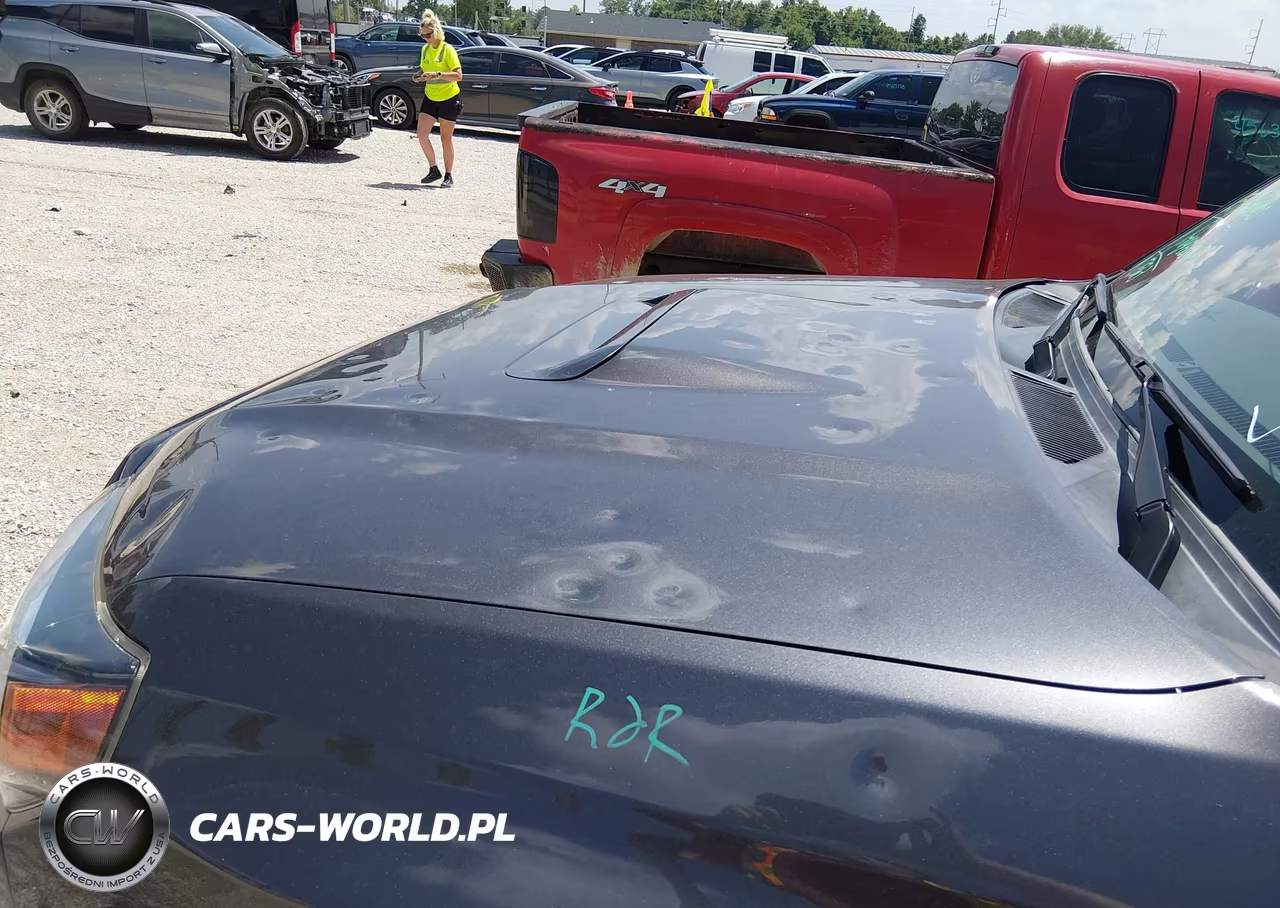 2019 Toyota 4Runner Trd Off Road Premium VIN:JTEBU5JR0K5631324 - 6