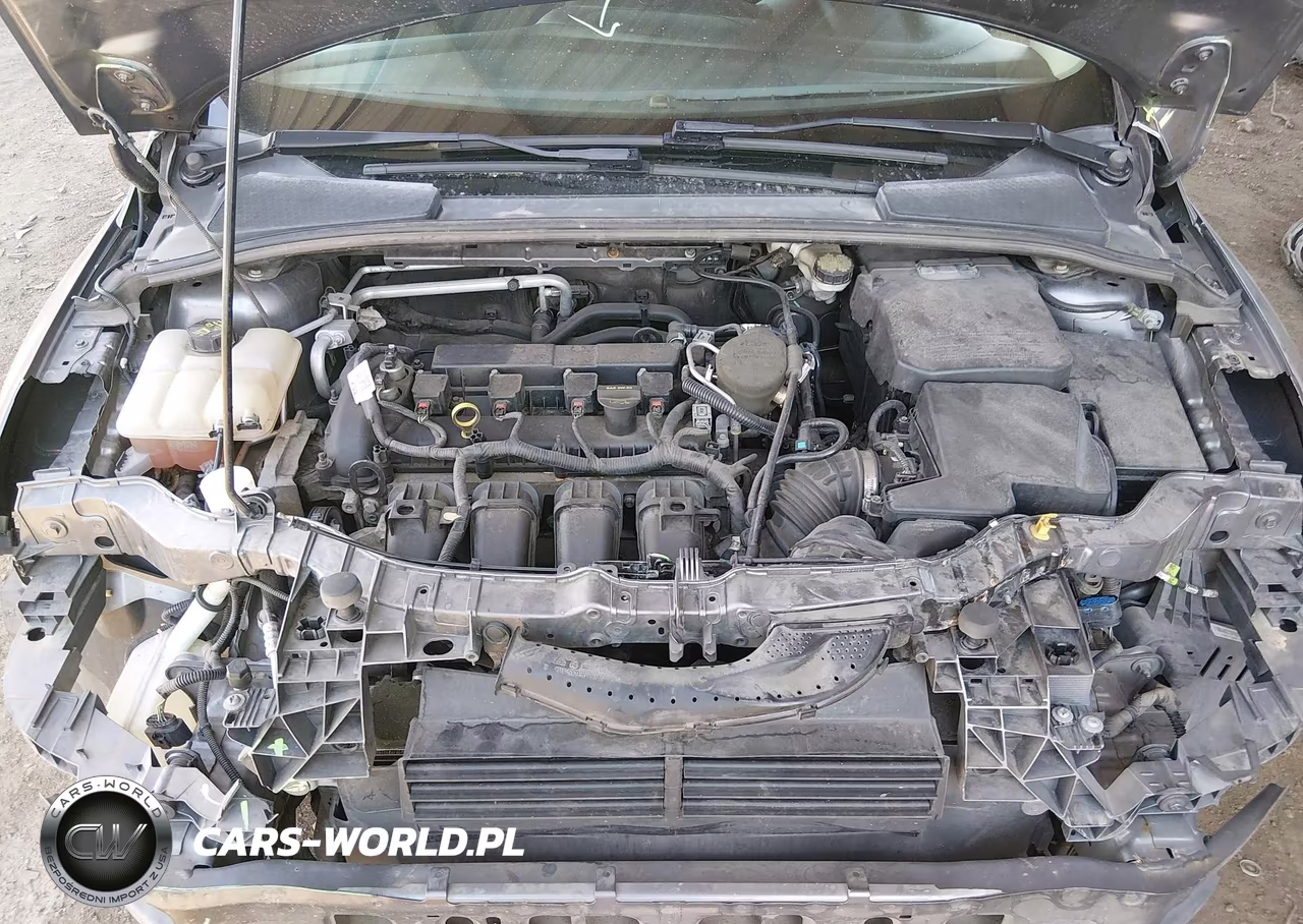 2014 Ford Focus Se VIN:1FADP3F26EL105130 - 10