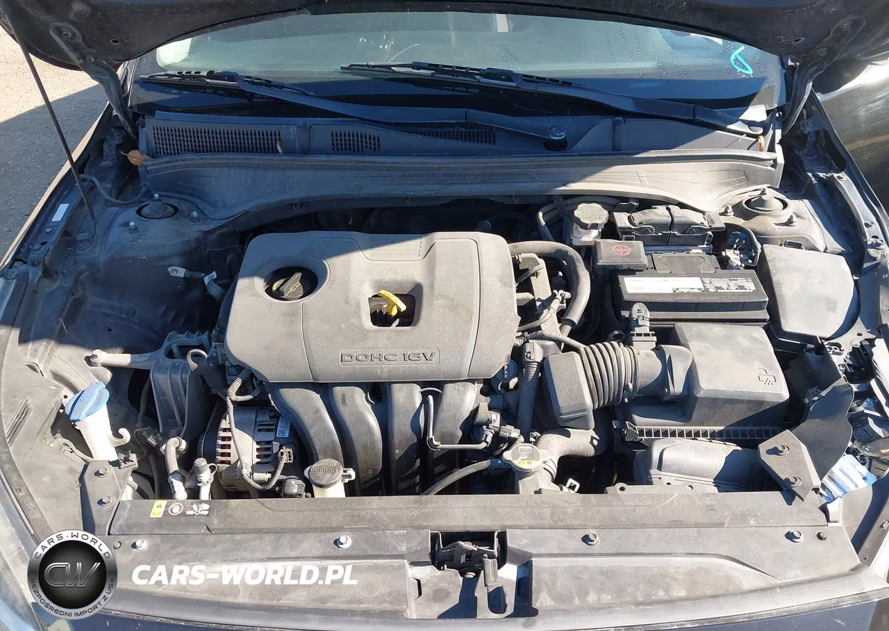 2019 Kia Forte Lxs VIN:3KPF24AD9KE006421 - 10