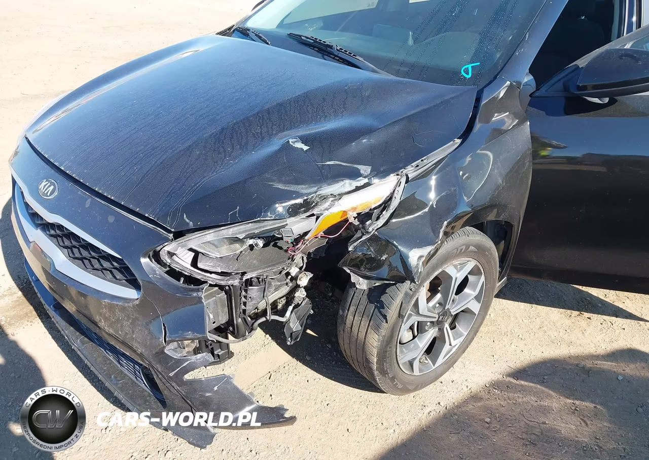 2019 Kia Forte Lxs VIN:3KPF24AD9KE006421 - 6