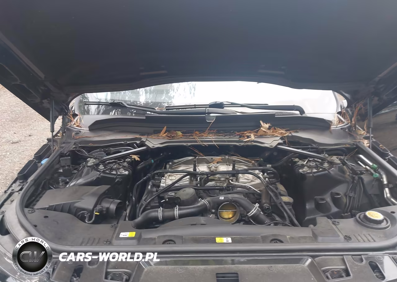 2016 Land Rover Range Rover Sport 3.0L V6 Supercharged Se VIN:SALWG2PF1GA597541 - 10
