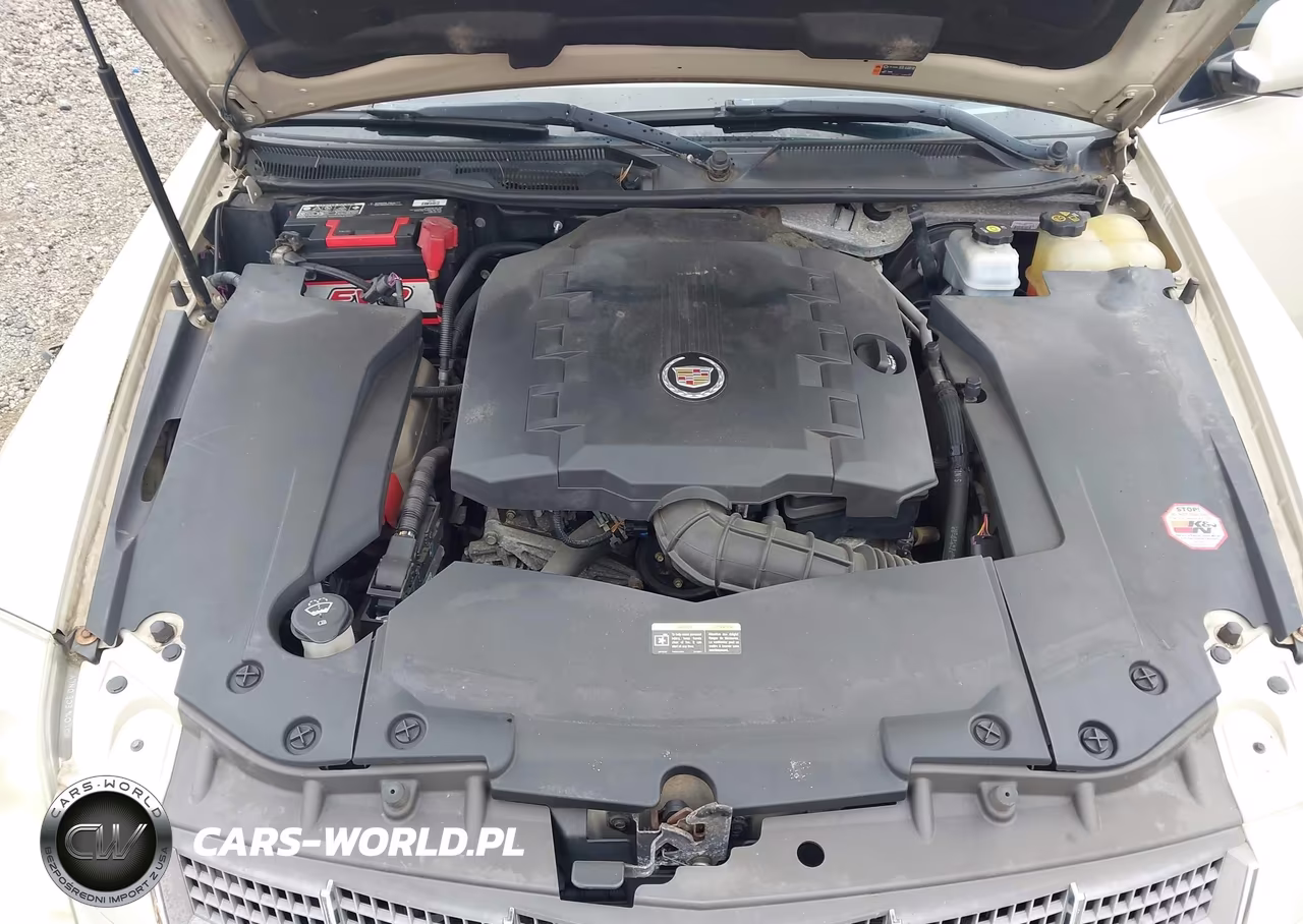 2011 Cadillac Sts Rwd W-1Sb VIN:1G6DW6ED0B0142630 - 10