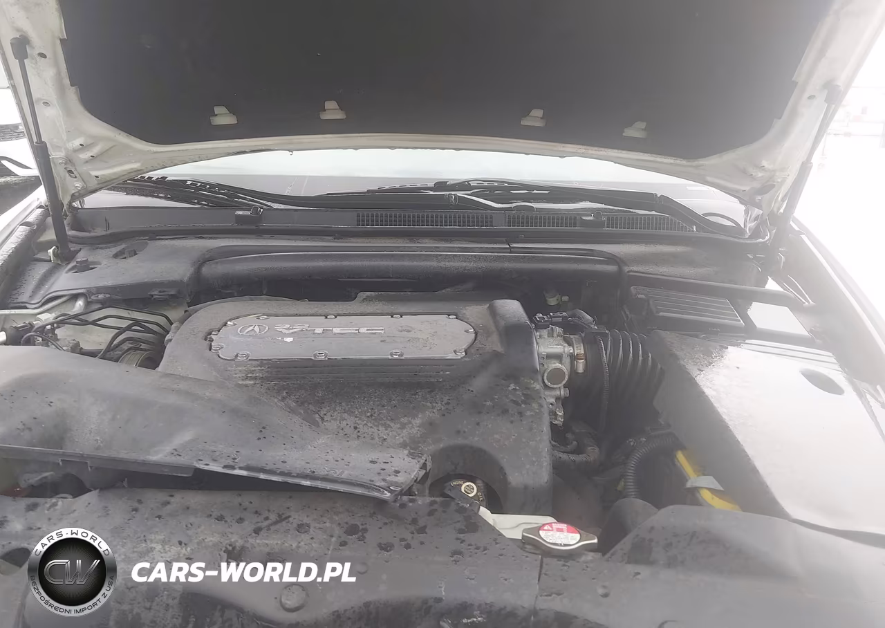 2006 Acura Tl VIN:19UUA66246A044517 - 10