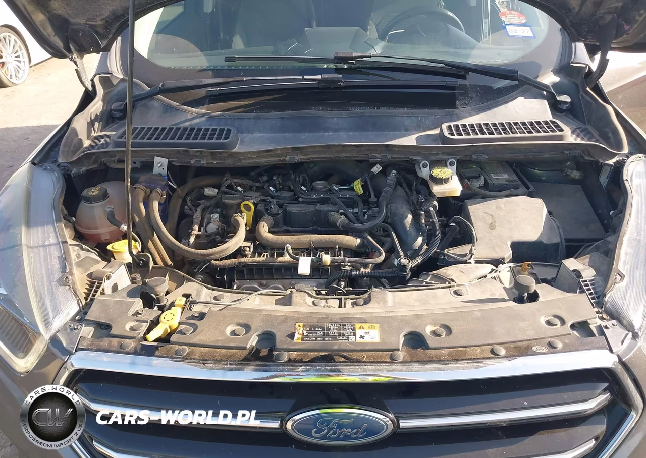 2019 Ford Escape Se VIN:1FMCU0GD7KUC52197 - 10