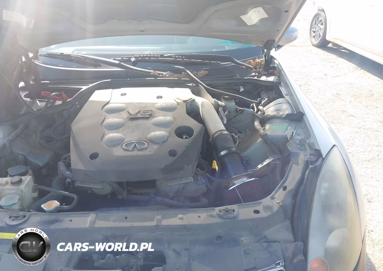 2004 Infiniti G35 VIN:JNKCV54E84M302375 - 10