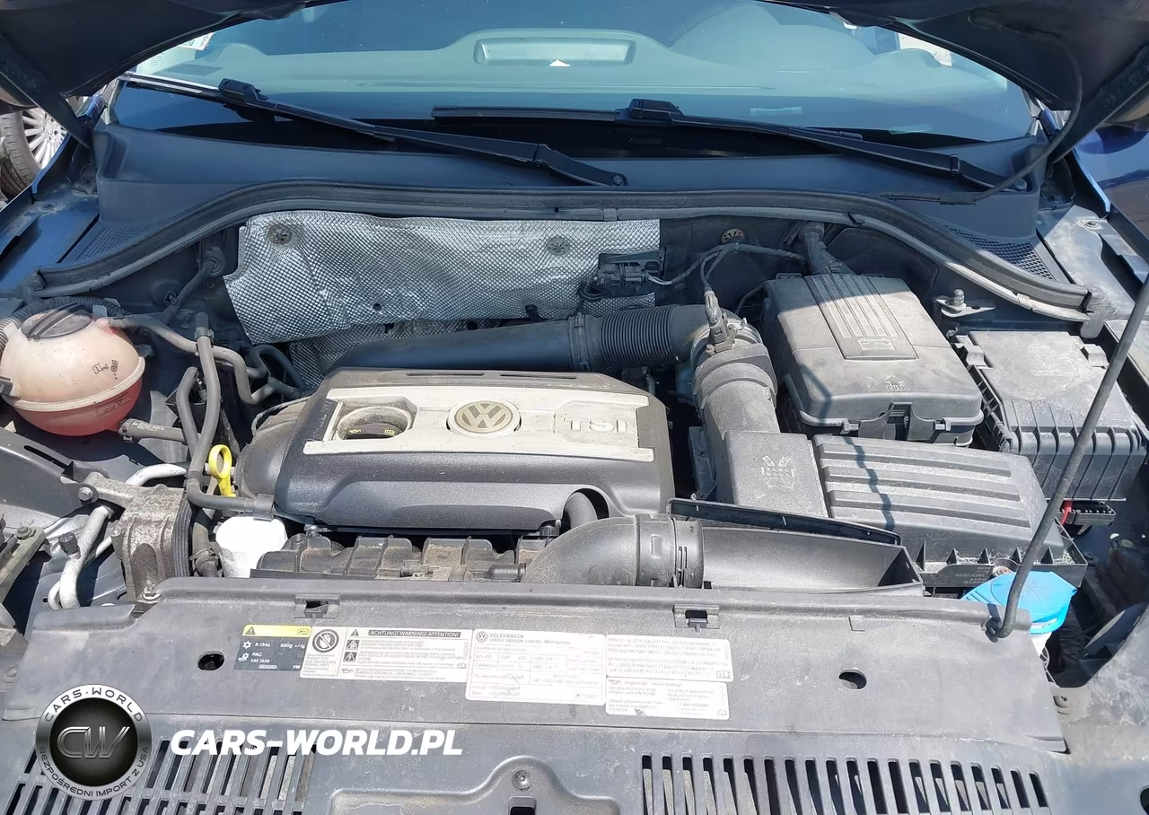 2015 Volkswagen Tiguan S VIN:WVGBV7AX2FW585891 - 10