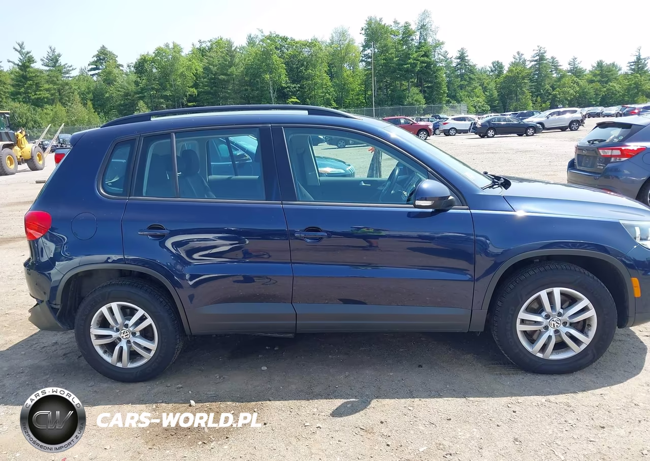 2015 Volkswagen Tiguan S VIN:WVGBV7AX2FW585891 - 13
