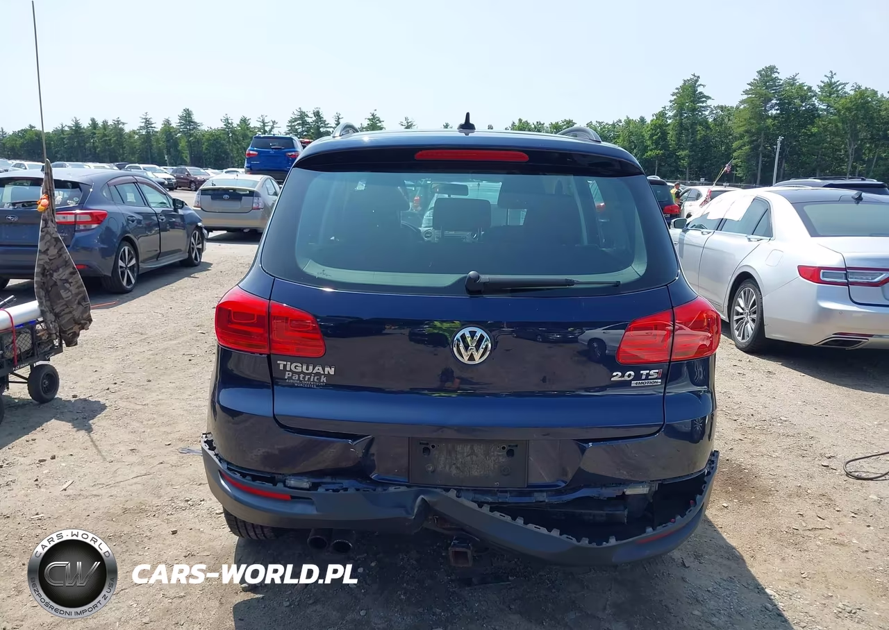 2015 Volkswagen Tiguan S VIN:WVGBV7AX2FW585891 - 16