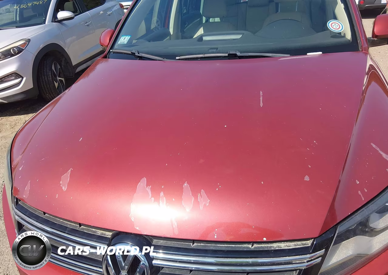 2013 Volkswagen Tiguan Sel VIN:WVGAV7AX2DW029170 - 6