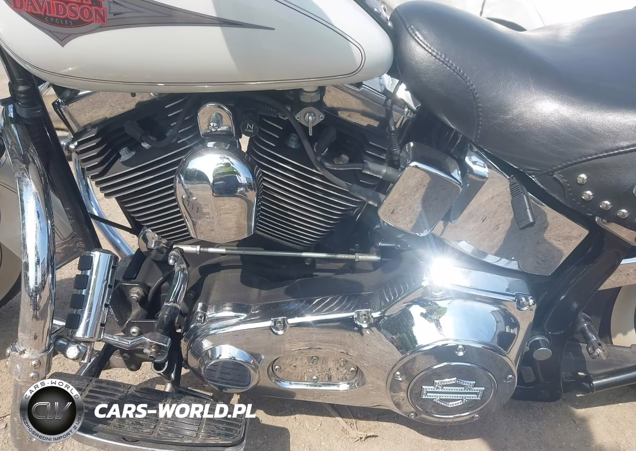 2001 Harley-Davidson Flstc VIN:1HD1BJY161Y033653 - 9