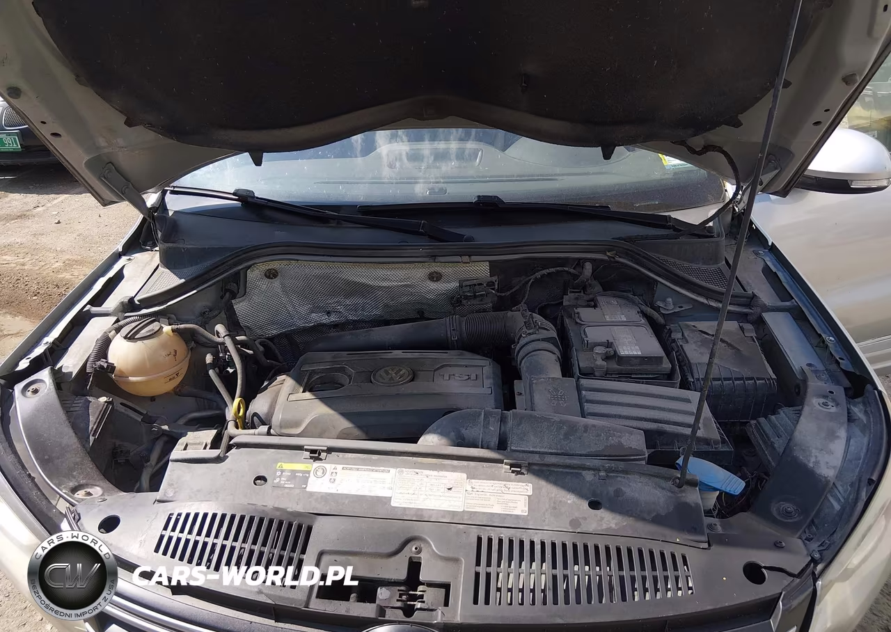 2014 Volkswagen Tiguan R-Line VIN:WVGBV3AX0EW014147 - 10