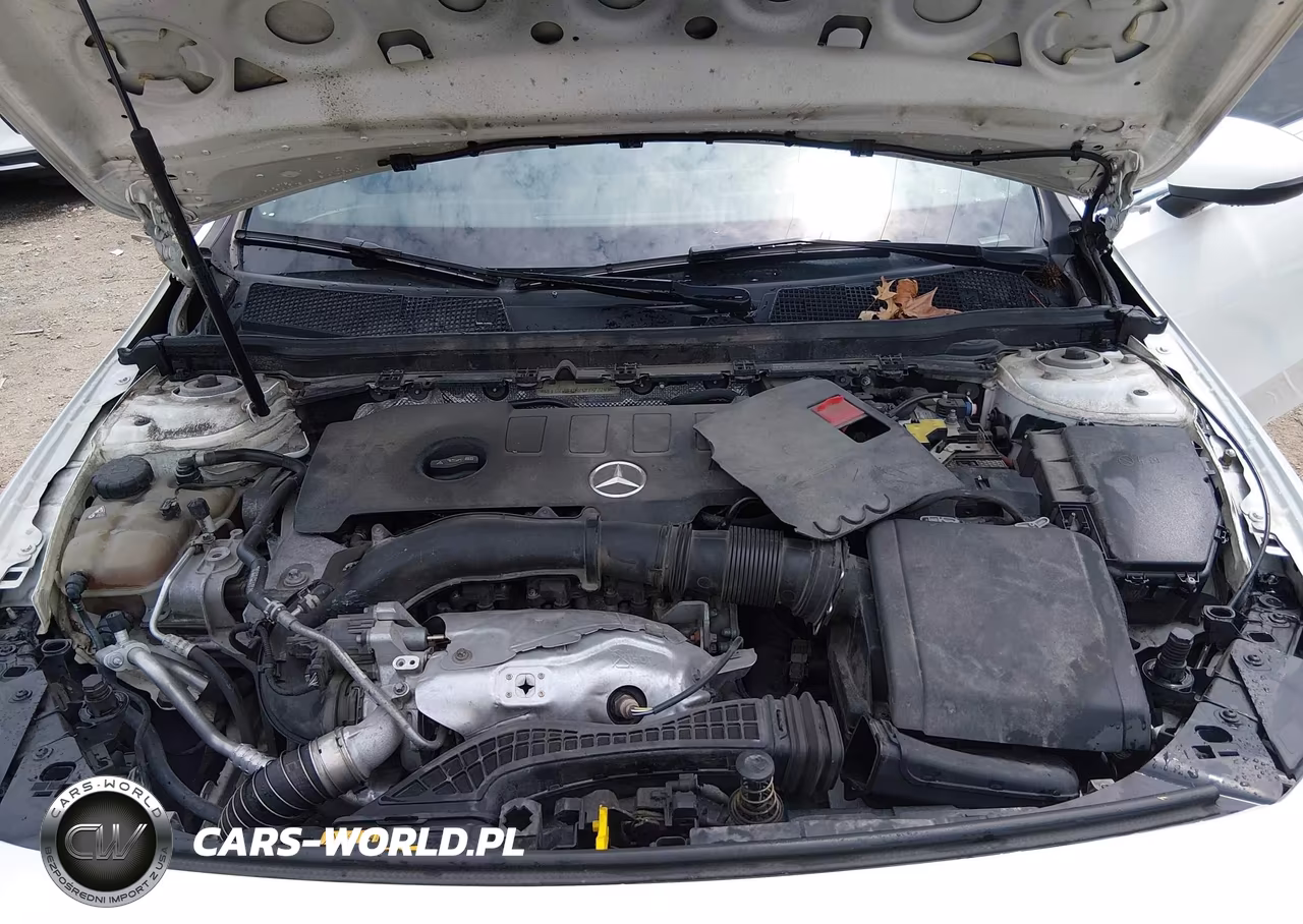 2019 Mercedes-Benz A 220 4Matic VIN:WDD3G4FB6KW027380 - 10