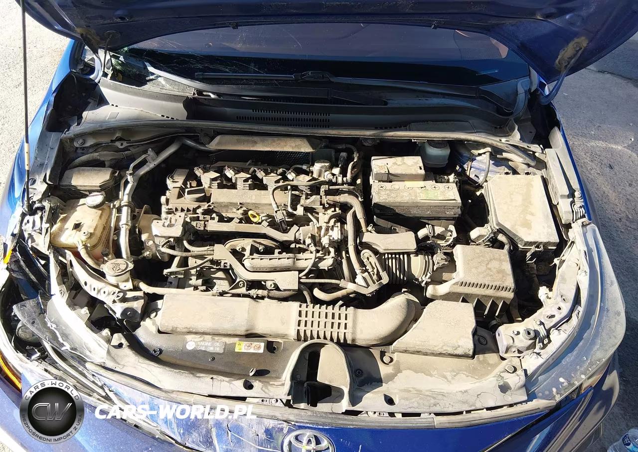 2020 Toyota Corolla Se VIN:JTDS4RCEXLJ007710 - 10