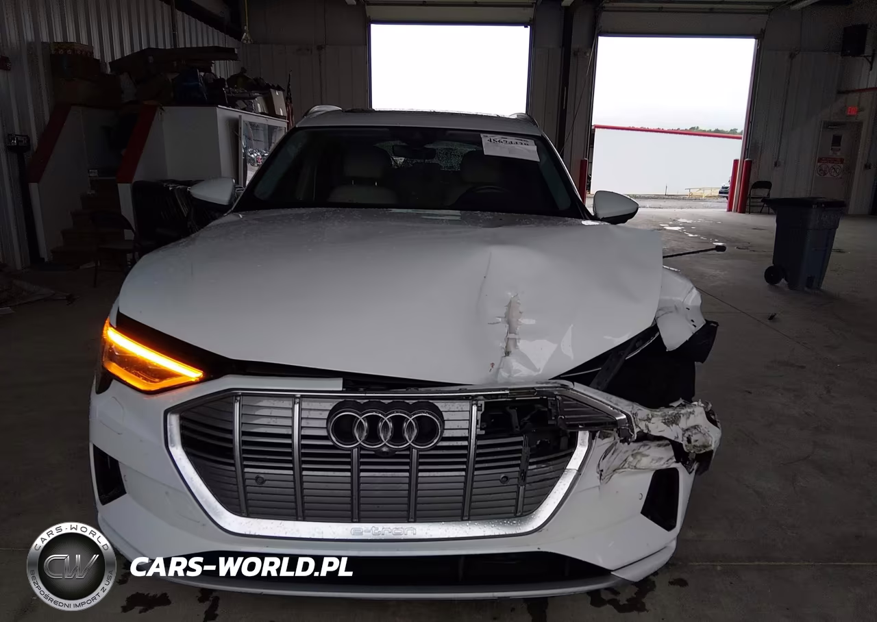 2019 Audi E-Tron Premium Plus VIN:WA1LAAGEXKB024227 - 12